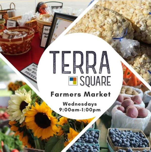 Mitten Chips at Terra Square farmers market